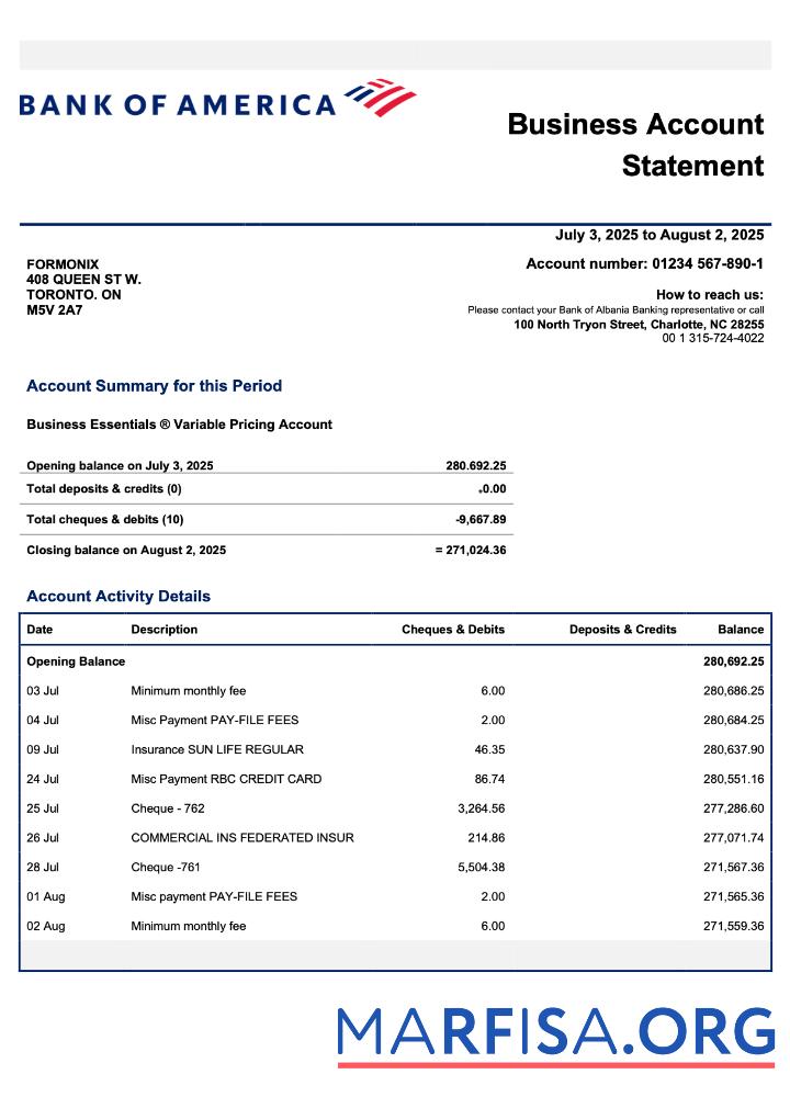 Blank US Bank of America enterprise statement Word and PDF template